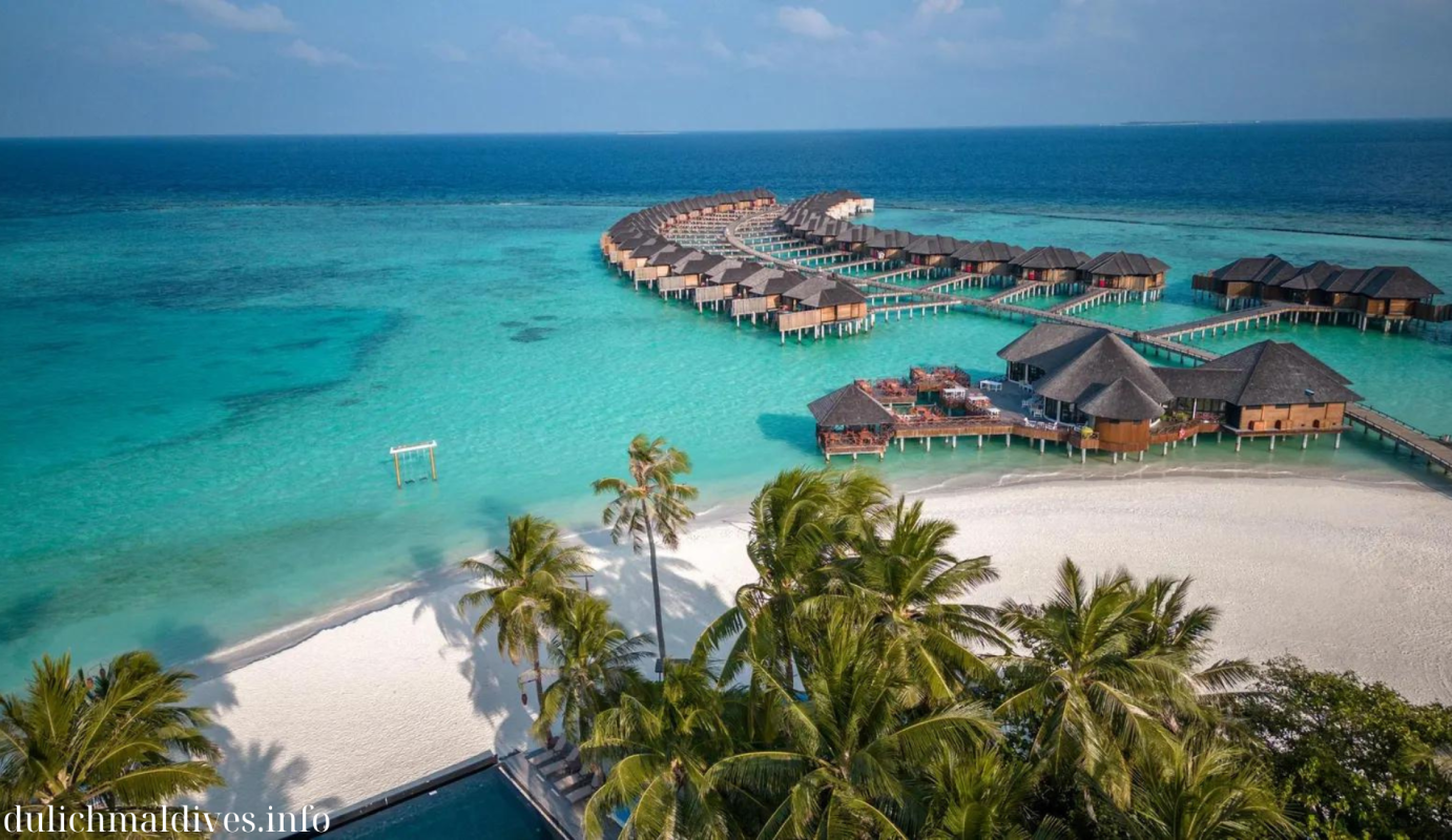 Venture into the Top Islands to Visit in Maldives for an Exotic Escape