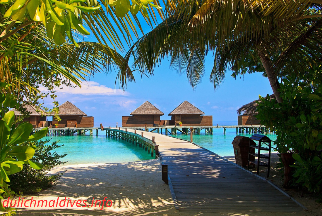 Unveil the Best Luxury Resorts in Maldives for an Exclusive and Lavish Tropical Vacation